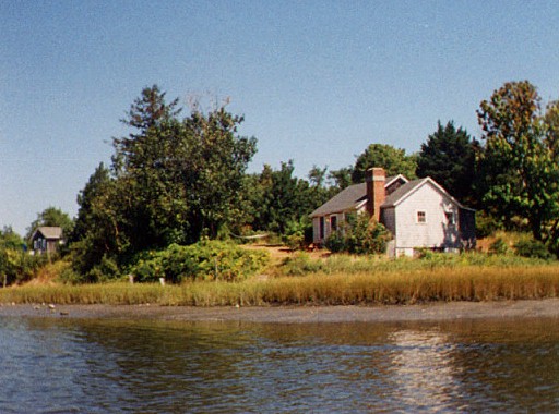 McCabe's: View from Salt Pond